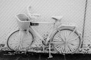umrzlo i kolo