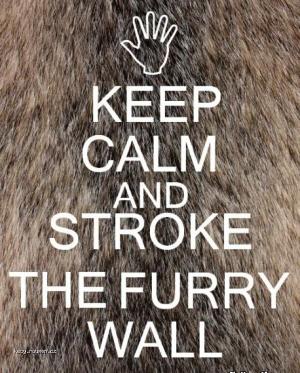 Keep Calm and Stroke the Furry Wall