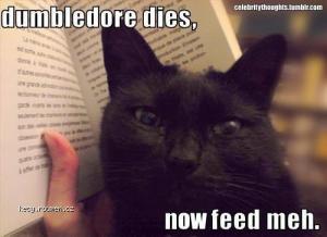 dumbledore dies
