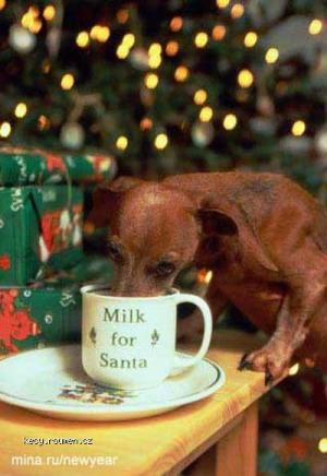 milk for Santa