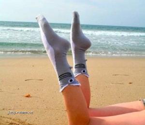 Shark socks