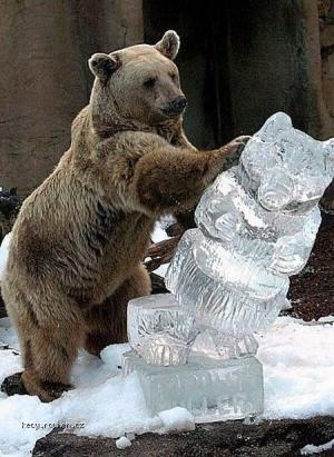 Bear Hates Statues