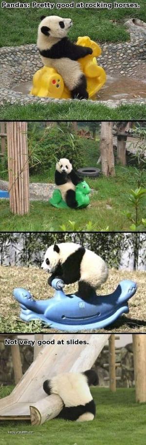 X Pandas