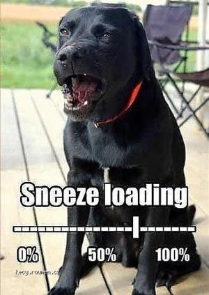 Sneeze loading