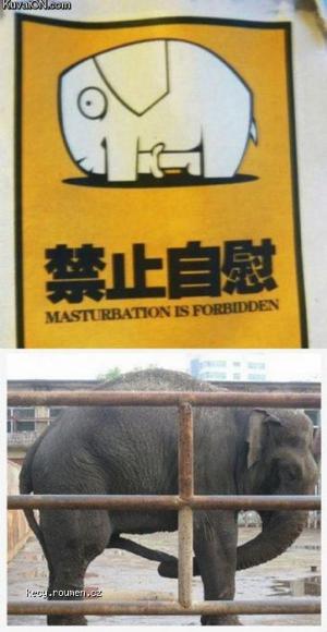 masturbation is forbidden