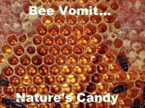 Bee vomit