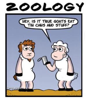 Zoology 230511
