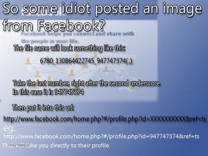 facebook idiots