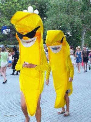 dva banani