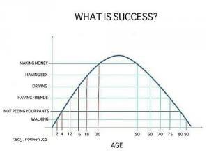 What is success
