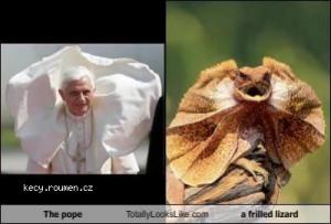 pope vs lizard