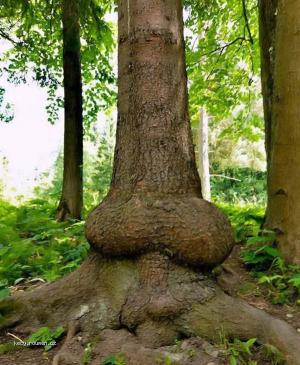 strom a anal