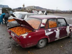 mandarinky nez se dostanou do kauflandu