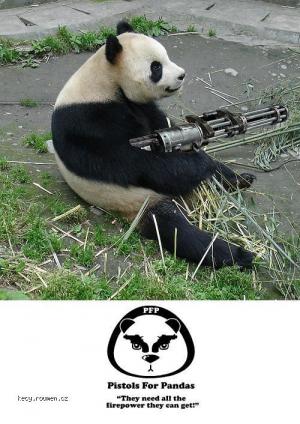 pandasneedguns