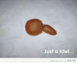 Just a kiwi