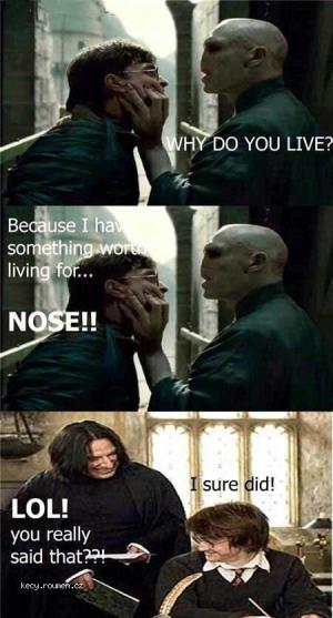 Harry vs Voldemort 260511