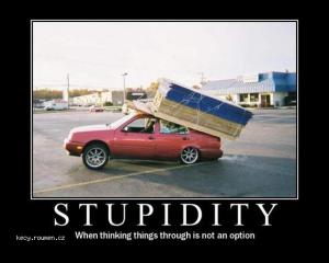 stupidity11