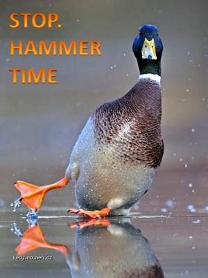 Stop  Hammer time