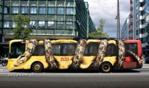ZOO bus