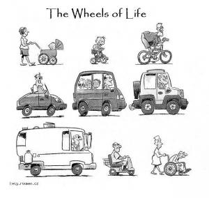 The wheels of life