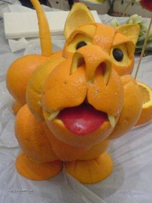 pomerancovej pes