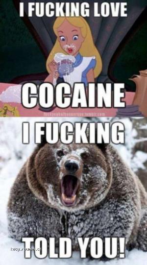cocaine told you