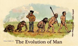 Evolution 150911