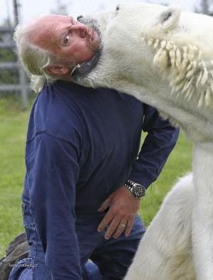 Dangerous Animal  16year old white bear and trainer Mark