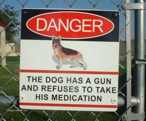 the dog sign