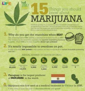 15 veci o marihuane 1