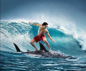 Shark surf