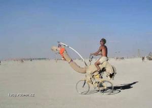 The bike is a camel  Why bike becomes camel