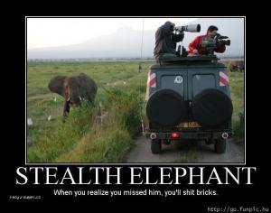 Stealth elephant