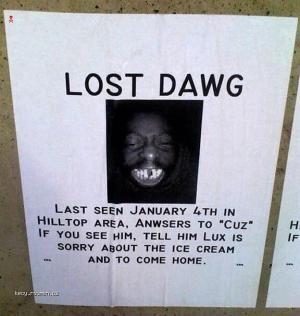 Lost dawg