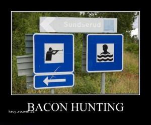 baconhunting