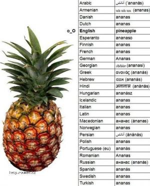 Ananas english language