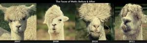 The Faces of Meth  Before and After