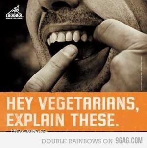 hey vegetarians