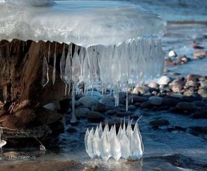beautiful frozen