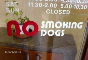 No Smoking Dogs