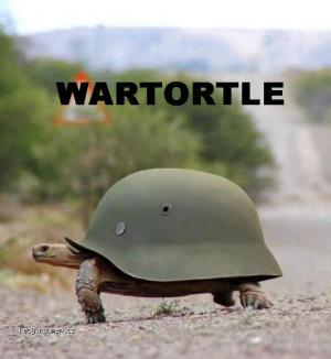 wartortle