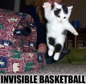invisiblebasketballcat