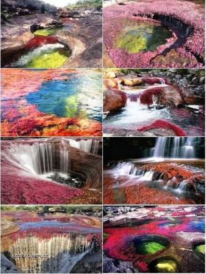The Most Colorful River in the world  La Macarena  Colombia