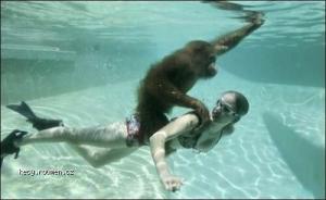 Underwater monkey