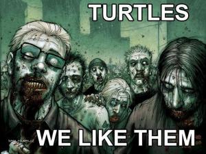 turtles C2 A8zlikes