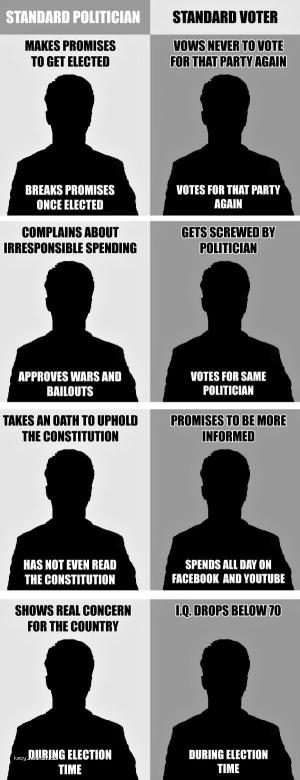 Political Voting Explained