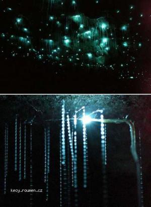 Incredible Caves  Waitomo Glowworm Cave
