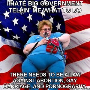 I hate big government