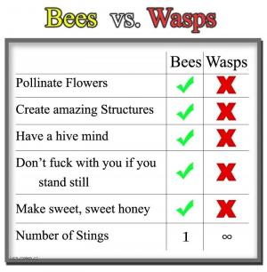 X X Bees vs Wasps
