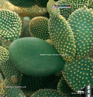 cactus2009 5B1 5D
